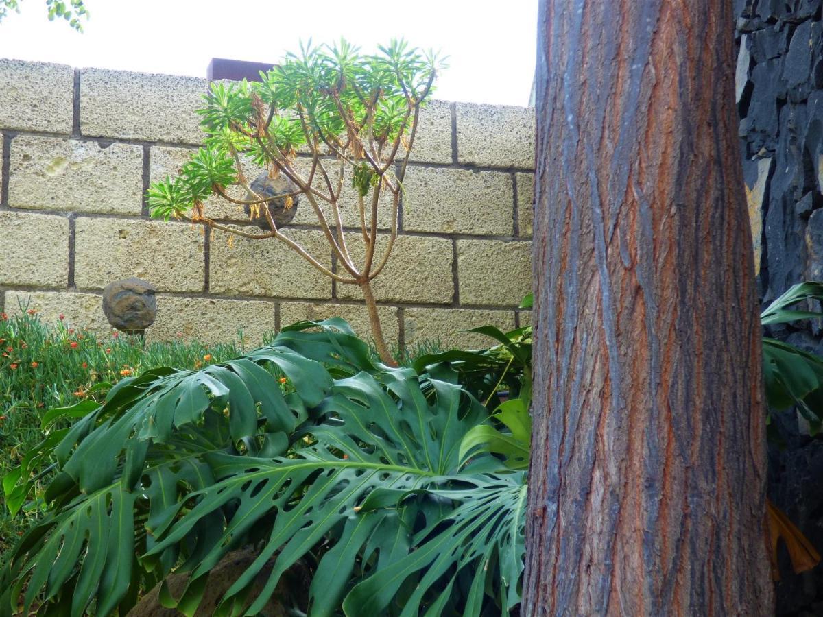 Eco Suites Caves لا لاغونا المظهر الخارجي الصورة